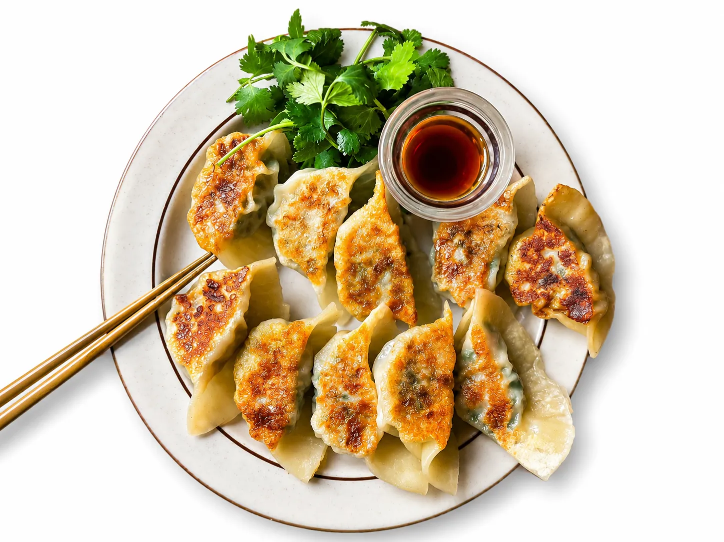 Best Gyoza Japanese dumplings in Winnipeg, MB